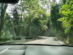 -岣嵝峰国家森林公园