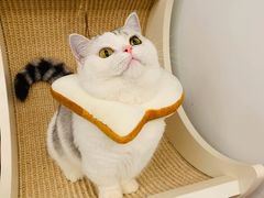 -iF摄影•全家福•证件照•形象照(南山店)