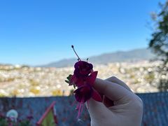 -丽江古城第一观景台