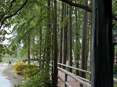 -东湖落雁景区