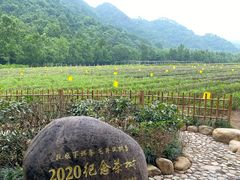 -中国茶叶博物馆(双峰馆区)