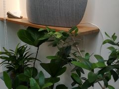景观位-Onirii Coffee(长乐路店)