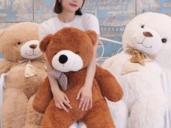 -成都泰迪熊博物馆