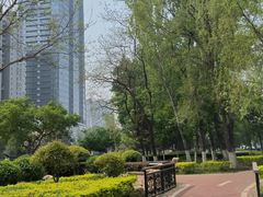 -辽宁电视塔