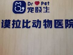 -宠颐生汉谟拉比宠物医院