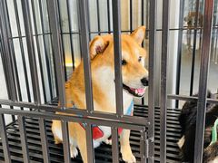 -阿那亚第六食堂(文创街区店)
