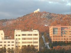-山东大学(威海校区)