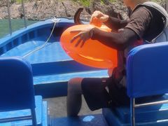 -双月湾小星山潜水·浮潜俱乐部