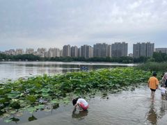 -南翔镇银翔湖公园