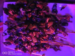 -胡桃里音乐酒馆(仓山万达店)
