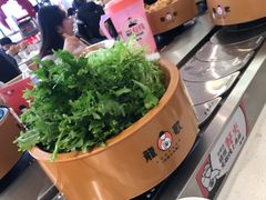 -龍歌自助小火锅(市南金茂湾店)