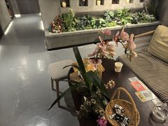 -施奈儿.洗头頭療.按摩SPA.采耳(上梅林店)