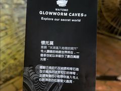 -怀托摩萤火虫洞