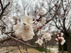 -元大都城垣遗址公园