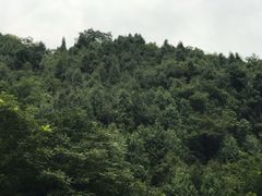 -寻龙山风景旅游区