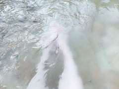 -青岛海泉湾度假区温泉