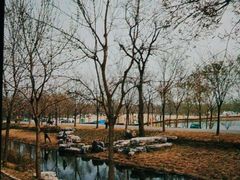 -东郊湿地公园