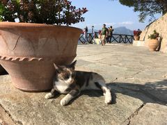 -梅黛奥拉修道院