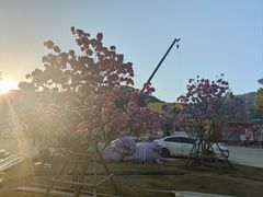-石峰岩寺