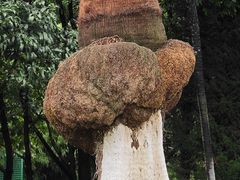 -洛龙公园