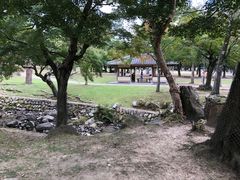 -奈良公园