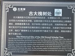 -大槐树寻根祭祖园