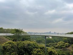 -光明农场大观园