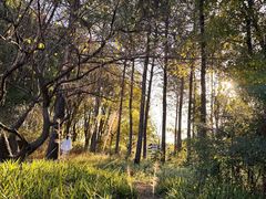 -昆山城市生态森林公园