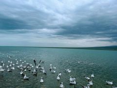 -青海湖国家重点风景名胜区