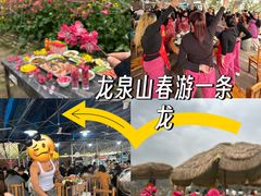 -桃源山庄·水蜜桃采摘·柴火鸡·烧烤团建(龙泉山店)