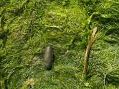 -北海金海湾红树林生态旅游区