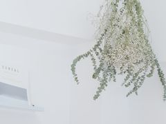 -隹木咖啡馆(宝龙广场店)