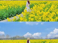 -中国天府农业博览园