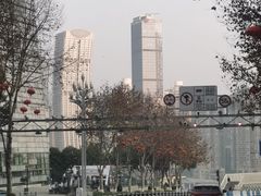 -重庆市江北嘴中央商务区中央公园