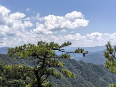 -王顺山国家森林公园