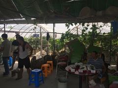 -马陆小张葡萄园农家乐