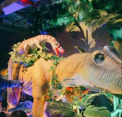 -恐龙探索乐园(磁器口店)