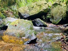 -佛山市三水区大南山森林公园