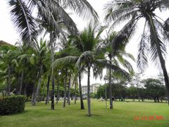 -三亚亚龙湾红树林度假酒店