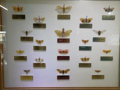 -上海昆虫博物馆