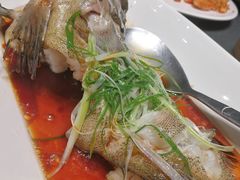清蒸老虎斑-徐记海鲜(曲江南湖店)