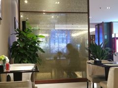 -郑州新郑国际机场T2航站楼-贵宾厅B区