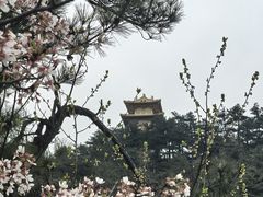 -天姥山