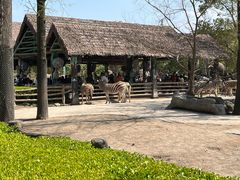 -上海野生动物园