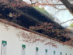 -西园戒幢律寺