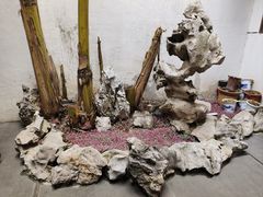 -李香君故居陈列馆