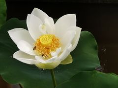 -金山公园