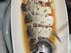 -辛香味烧鱼馆·非遗技艺·排骨红烧肉(光谷医药园店)