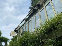 -南山植物园