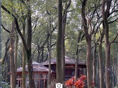 -同里国家湿地公园